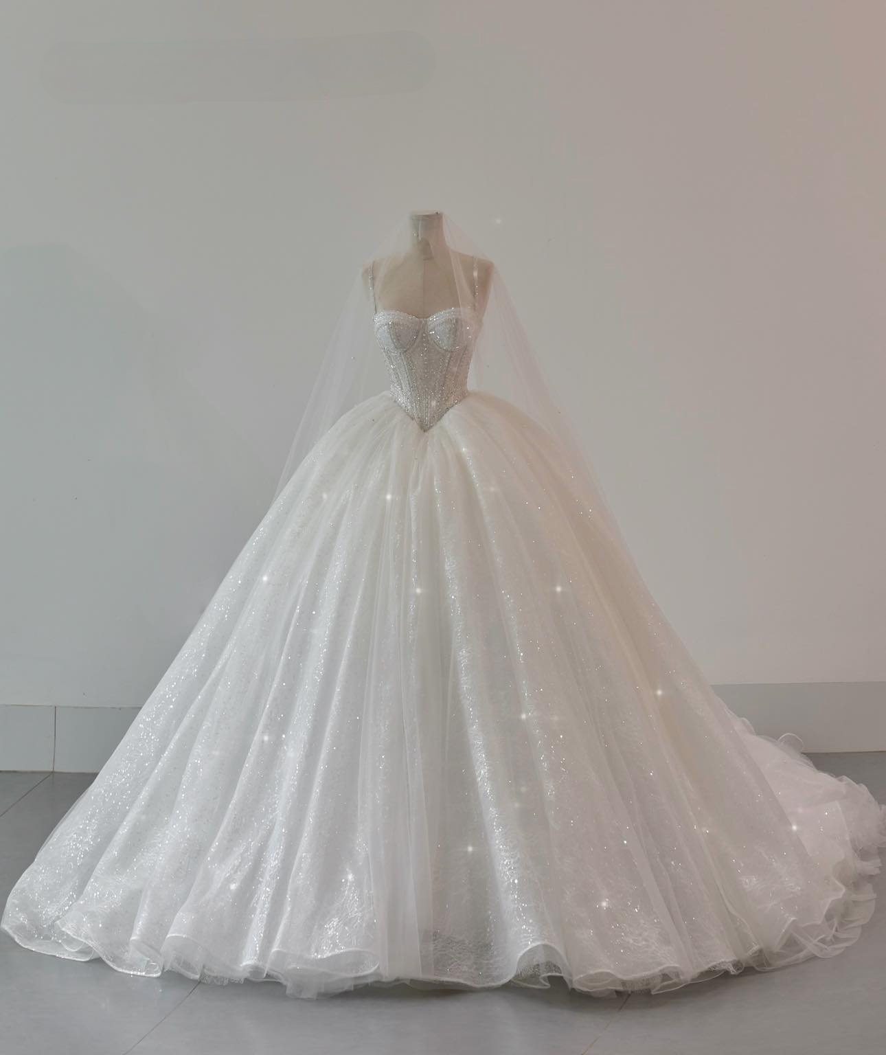 LEVELLE | Luxury Basque Waist Princess Wedding Gown Envious Bridal & Formal LEVELLE | Luxury Basque Waist Princess Wedding Gown Envious Bridal & Formal