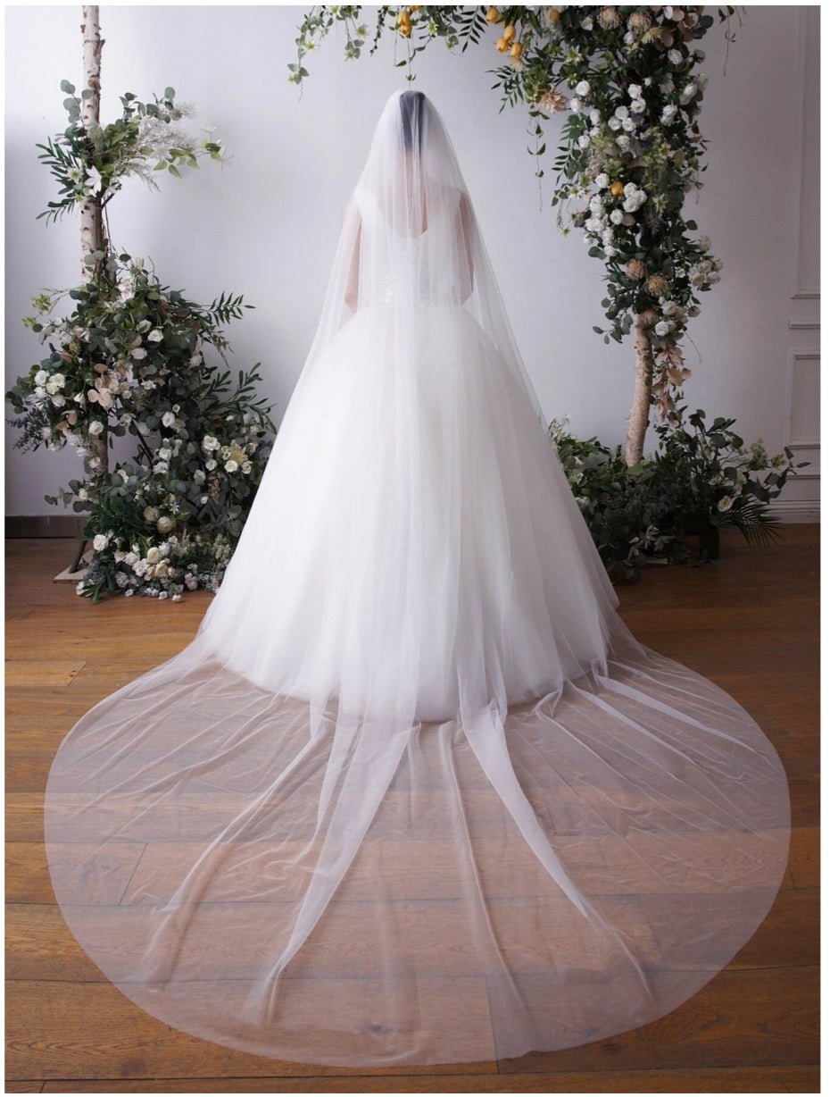 EVE | White Cathedral Length Tulle Veil